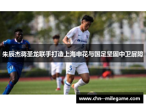 朱辰杰蒋圣龙联手打造上海申花与国足坚固中卫屏障