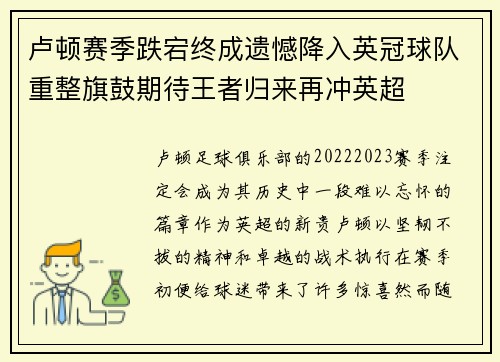 卢顿赛季跌宕终成遗憾降入英冠球队重整旗鼓期待王者归来再冲英超